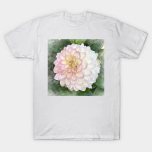 Dahlia Bloom Of Pink, Yellow And White T-Shirt